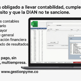 sistema contable en excel